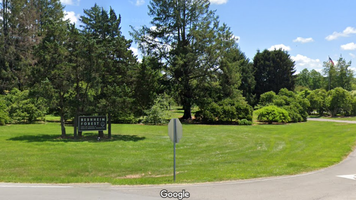 A nine-banded armadillo was spotted in Kentucky, making it the first ever confirmed sighting in the state, officials said.