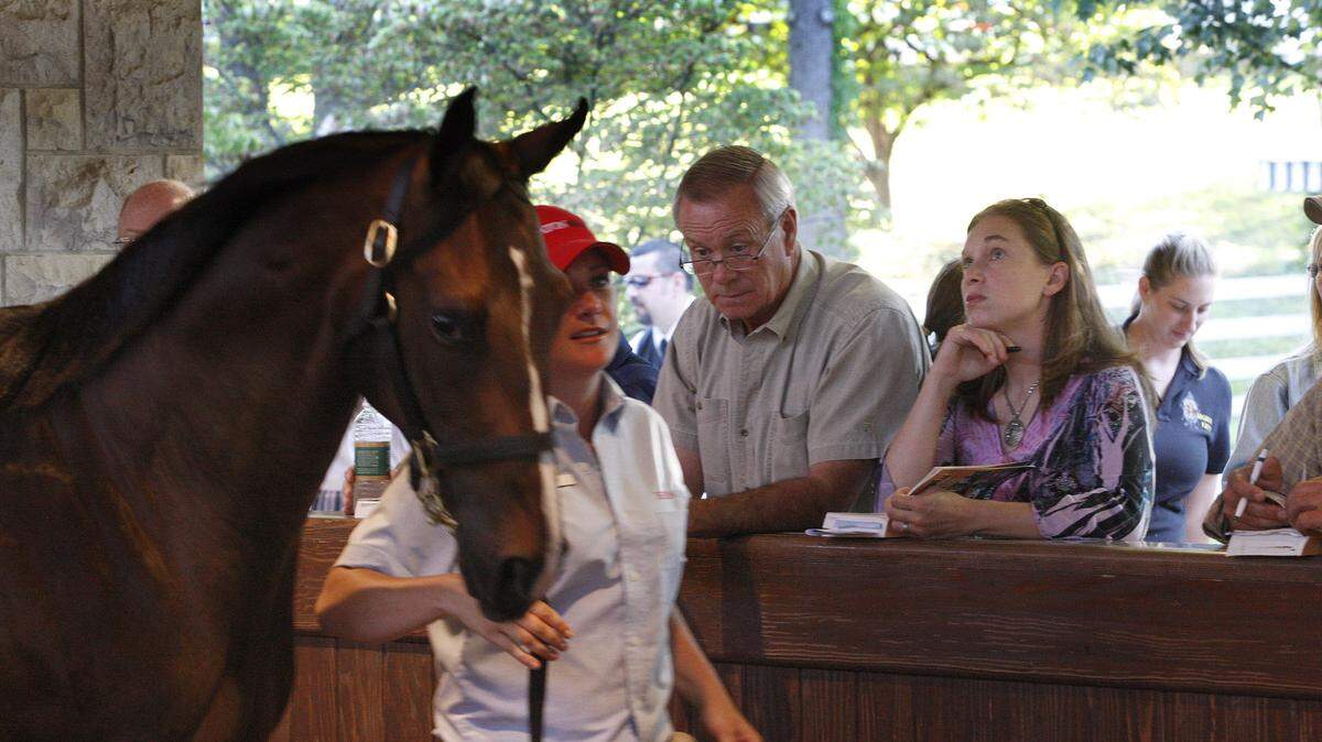 Arkansas-based trainer Jack Frost and Wendy Milligan looked at Hip 82, held by Sarah Gosse, in the back ring as the September Yearling Sale got under way Monday at Keeneland on Monday. The horse later was sold for $325,000 to Skara Glen Stables.