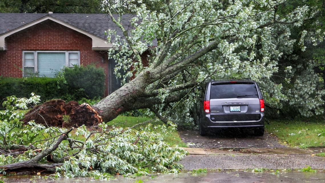 A downed tree sits on a home and a car in a driveway on Southview Drive, Friday, Sept. 27, 2024 in Lexington, Ky.