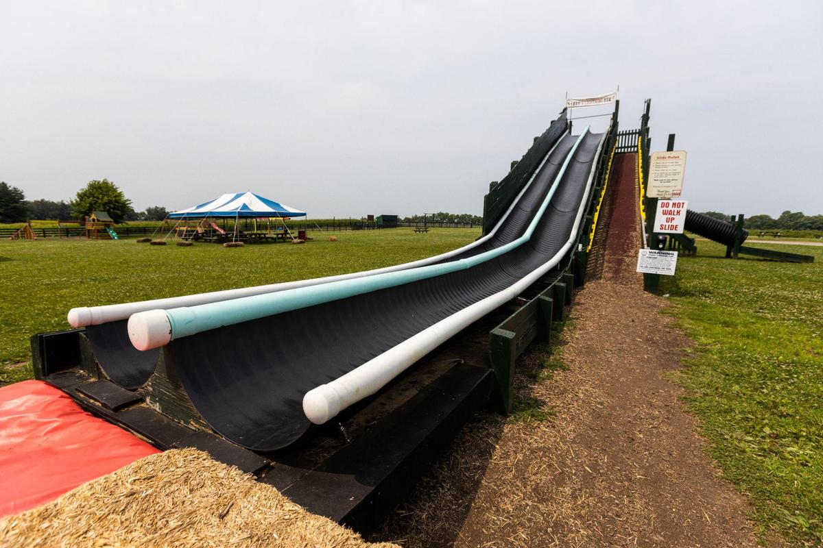 A 90-foot custom built dual mat slide called Larry’s Lightning is part of the kids playground area at Eckert’s Orchard in Versailles, July 29, 2021.