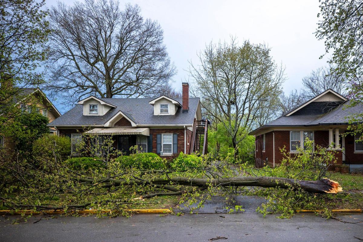 Branches are down after a storm passed through Lexington, Ky., on Tuesday, April 2, 2024. Lexington residents can get rid of fallen tree limbs and storm debris at the Haley Pike landfill or from their city garbage pick-up.