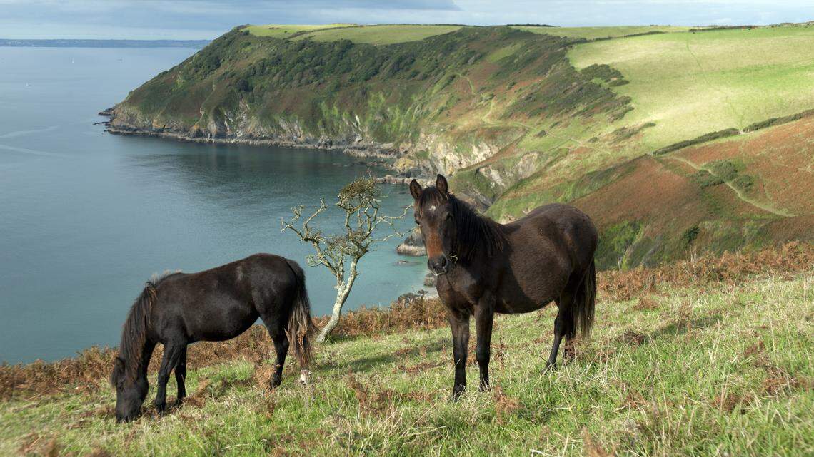 DescriptionVB32470324