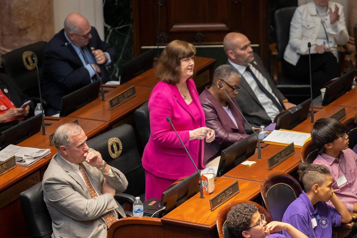 Rep. Patti Minter, D-Bowling Green, speaks on the floor of the House of Representatives on Wednesday.