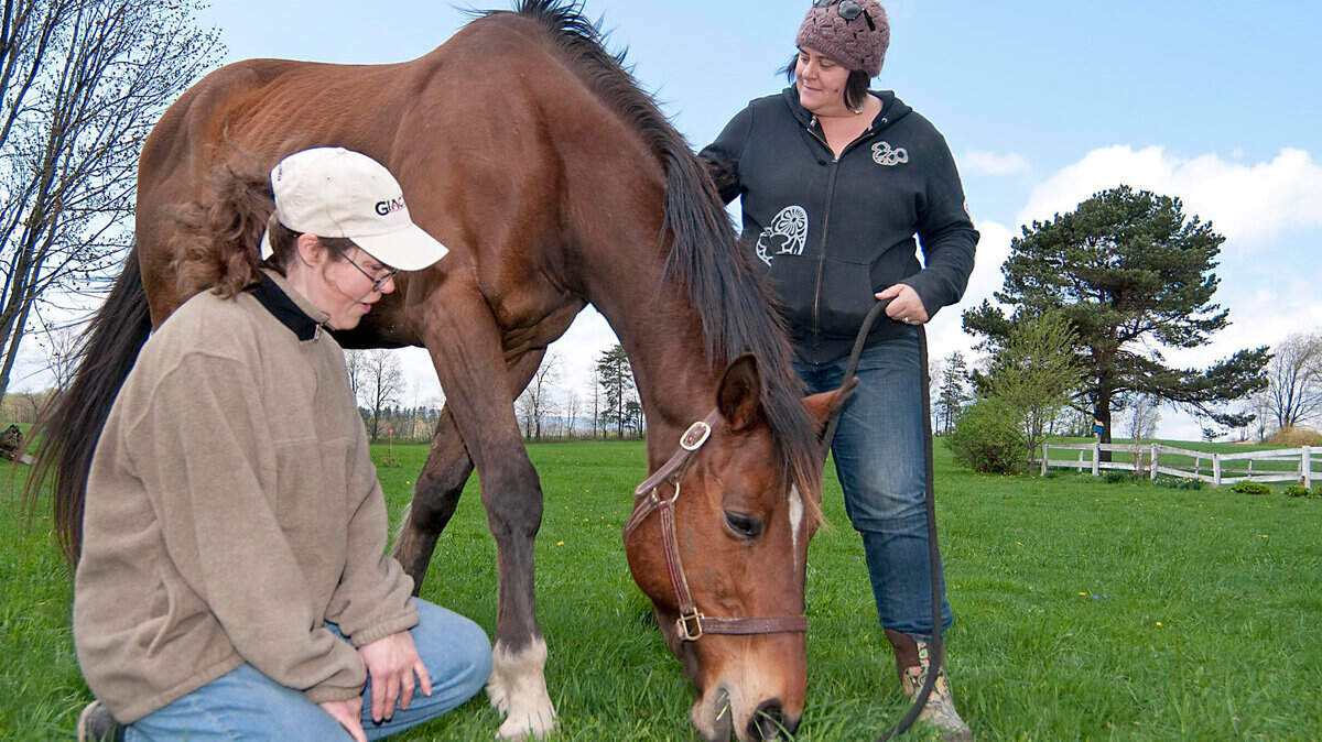 Short Squeeze, a half-brother of Barbaro who was headed for the slaughterhouse, now has a home in Johnstown, Pa., thanks in part to Bev Dee, left, who helped in his rescue, and owner Nicole Shaw.   