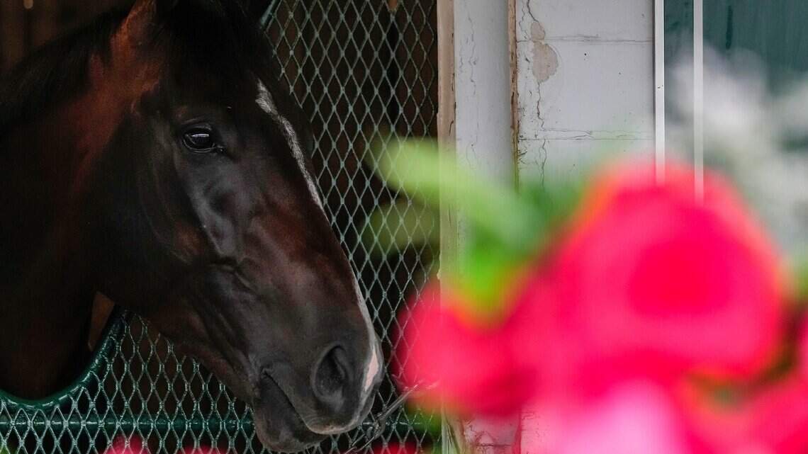 Kentucky Derby winner Sovereignty bypassing Preakness to focus on Belmont
