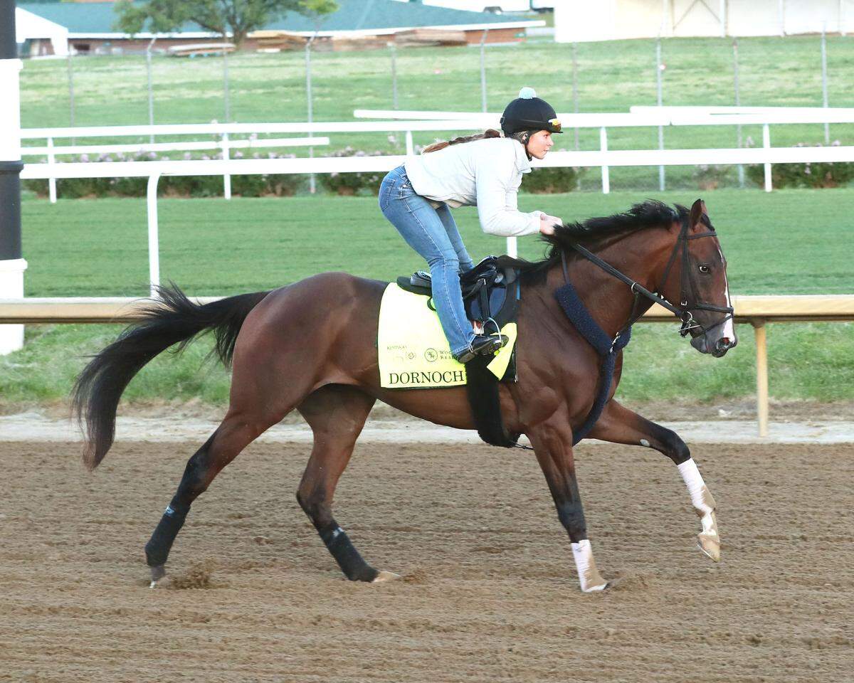 Dornoch will begin the Kentucky Derby from post position No. 1, not as dreaded a spot in the starting gate as it used to be.