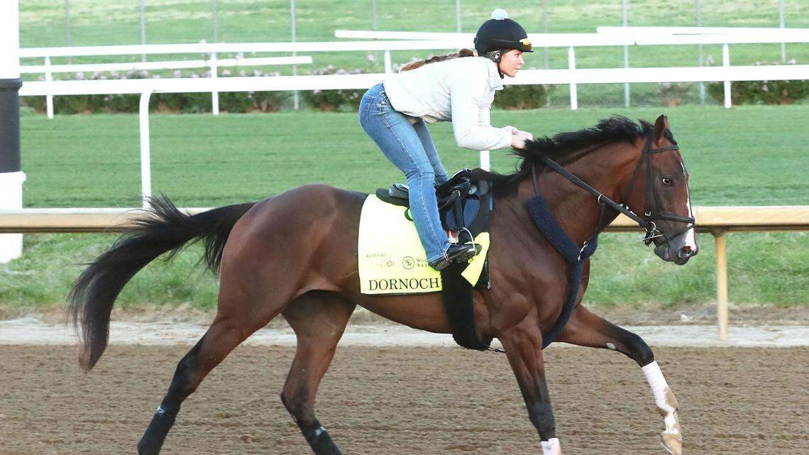 How will 20-horse starting gate affect 2024 Kentucky Derby horses and their post positions?