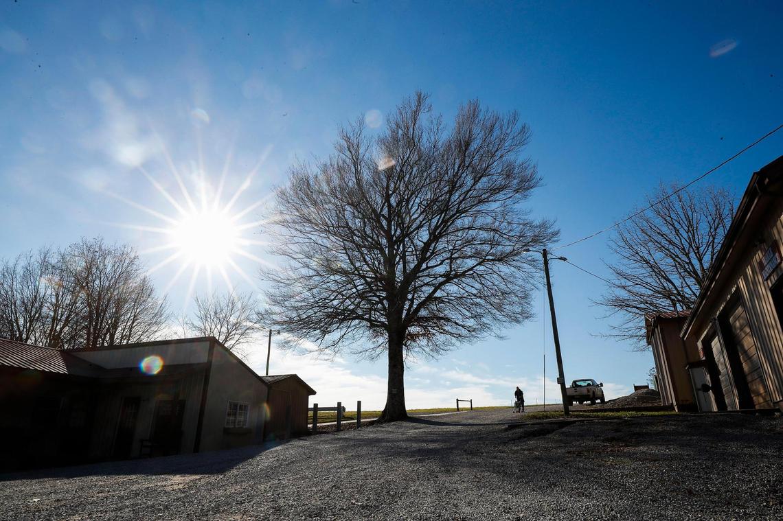 The sun shines through a tree at the Galilean Home in Liberty, Ky., Monday, Dec. 20, 2021. The Galilean Home was founded by Jerry and the late Sandy Tucker in 1974 and has served as a safe haven for abused and severely handicapped children.