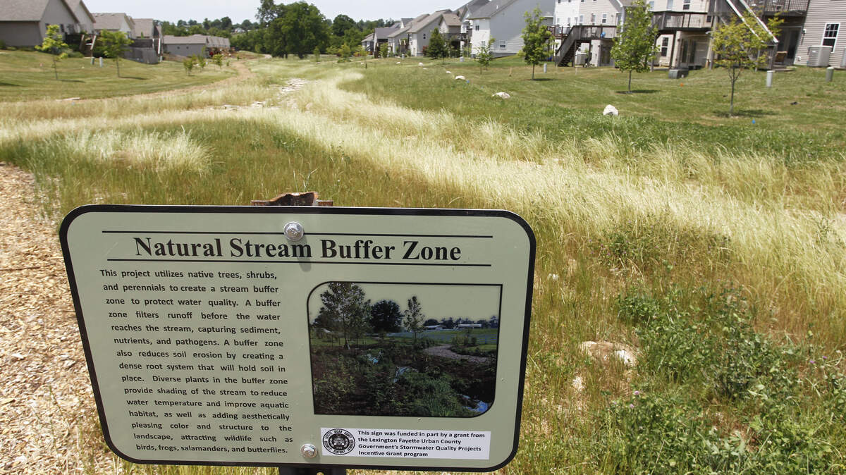 The McConnell's Trace greenway is a 1,500-foot mulched path that is lined on either side by almost 300 trees.
  