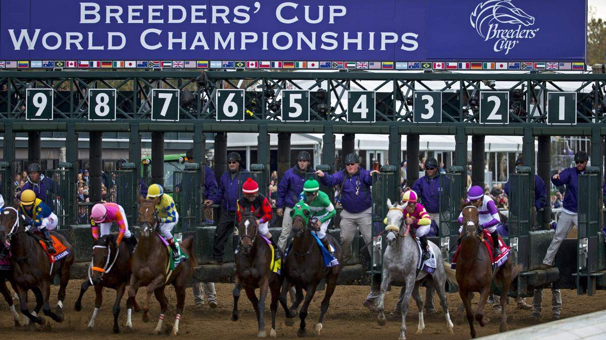 Keeneland hosted the Breeders’ Cup for the first time in 2015. This year, horse racing’s world championships are back in Lexington but will be raced without spectators in attendance. The track was awarded the 2022 event as an opportunity to give fans the full experience once again.