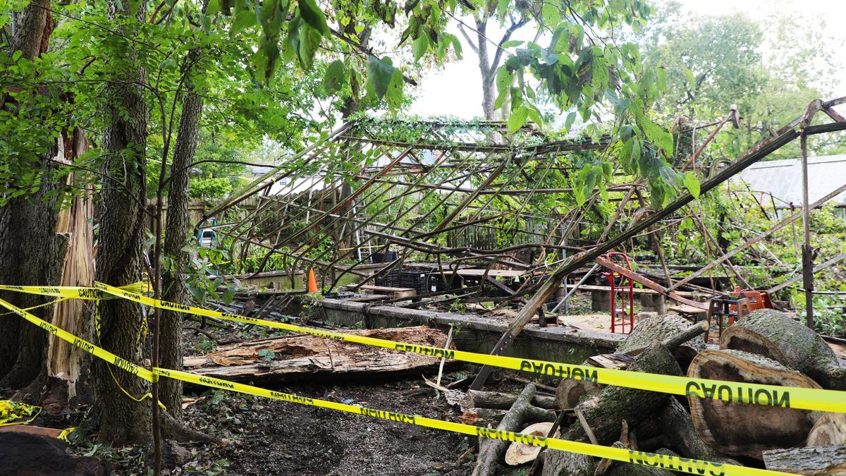 Caution tape surrounds a heavily damaged greenhouse at Kentucky Native Cafe, September 30, 2024, in Lexington, Ky. A tree fell on two greenhouses behind the beer garden at Michler’s Florist Shop three days earlier.