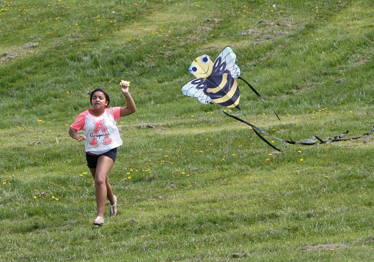 KiteFest is back after a four year hiatus.