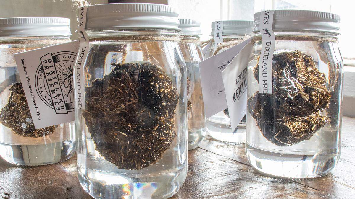 Is that ...? Yes, it is. Poo. Preserved in epoxy resin. Silver Charm’s poo to be exact. And it can be yours for $200. Proceeds benefit Old Friends, the Thoroughbred retirement farm where the 1997 Kentucky Derby champion lives now.