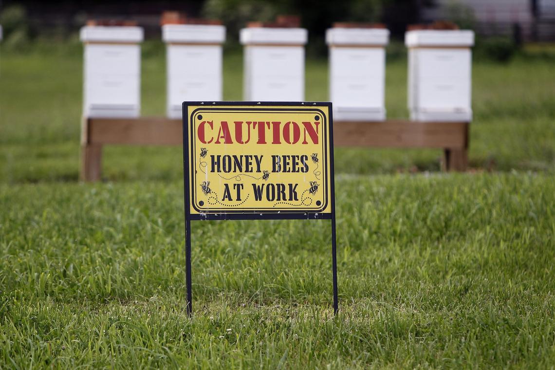 Beehives at Castle Farm restaurant in The Kentucky Castle.