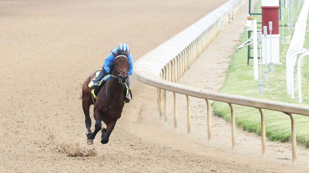 How every Kentucky Derby horse got his name. It’s harder than it looks.