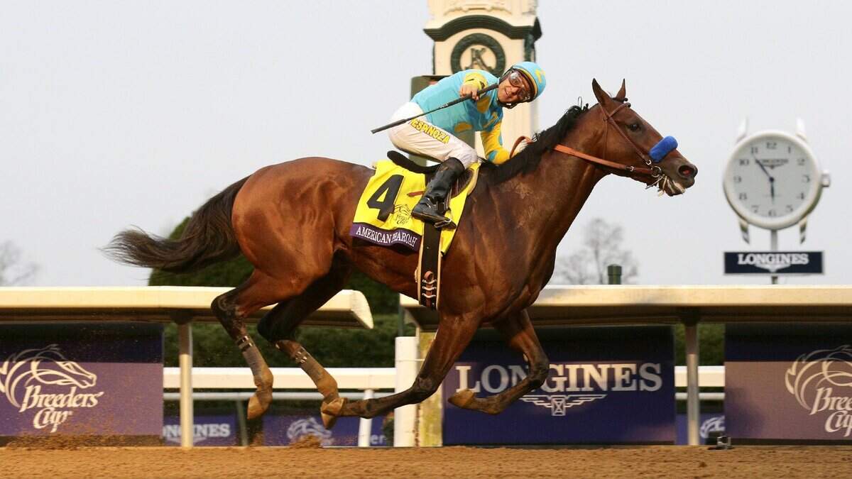 Victor Espinoza guided American Pharoah across the finish line at the the Breeders’ Cup Classic at Keeneland Race Course on Oct. 31, 2015.