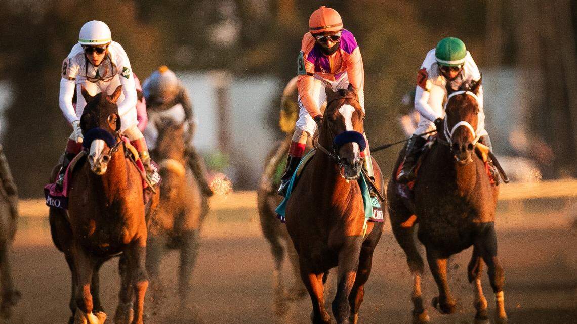 ‘He’s been getting better and better.’ Kentucky Derby winner takes Breeders’ Cup Classic.