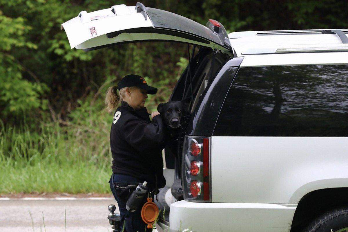 Search teams brought out dogs to help search for a missing boy in Magoffin County Monday morning.