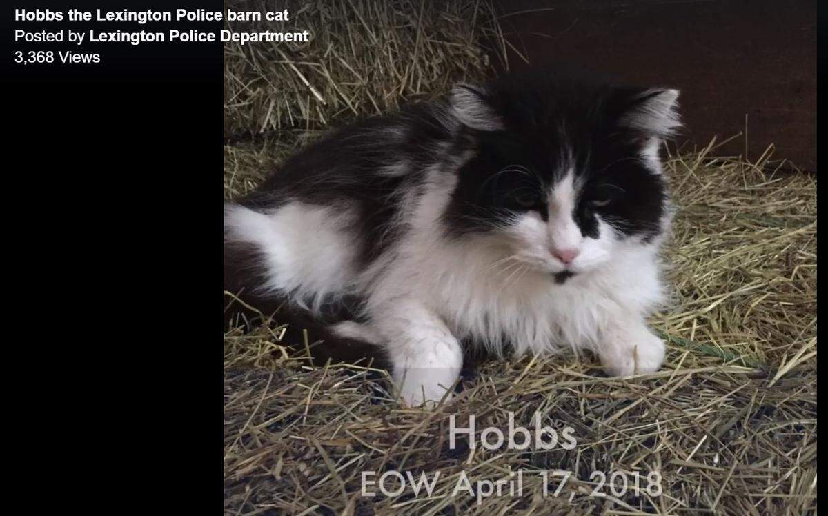 The Lexington Police Department included this photo of Hobbs in a slideshow posted on social media.