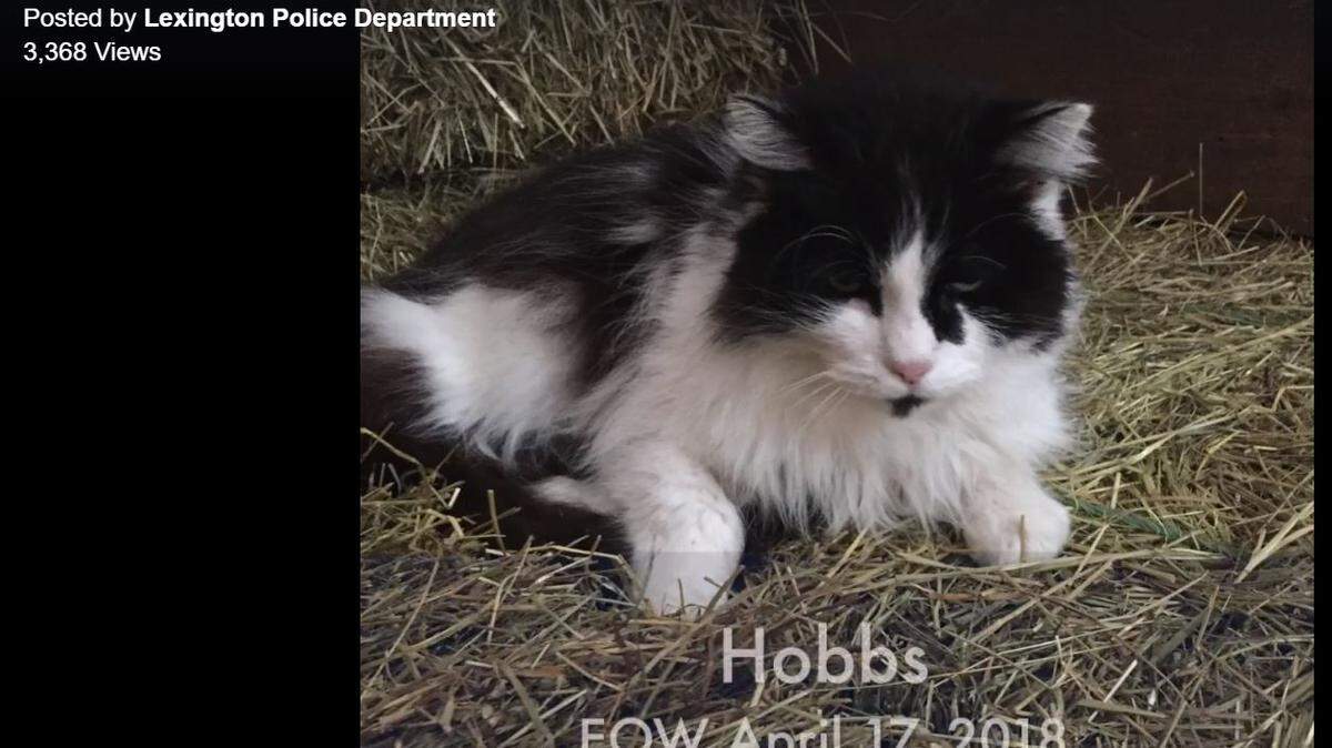The Lexington Police Department included this photo of Hobbs in a slideshow posted on social media.