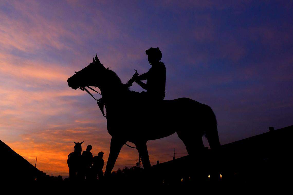 Horses are silhouetted against the sunrise on the backside at Churchill Downs in Louisville, Ky., Thursday, May 2, 2019.