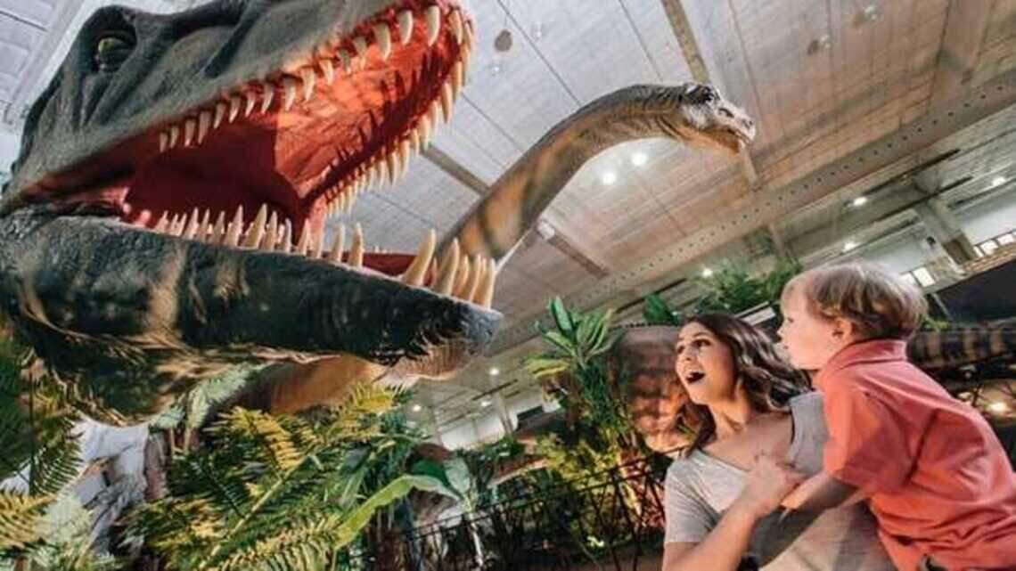 The 20 best things to do in and around Lexington this weekend