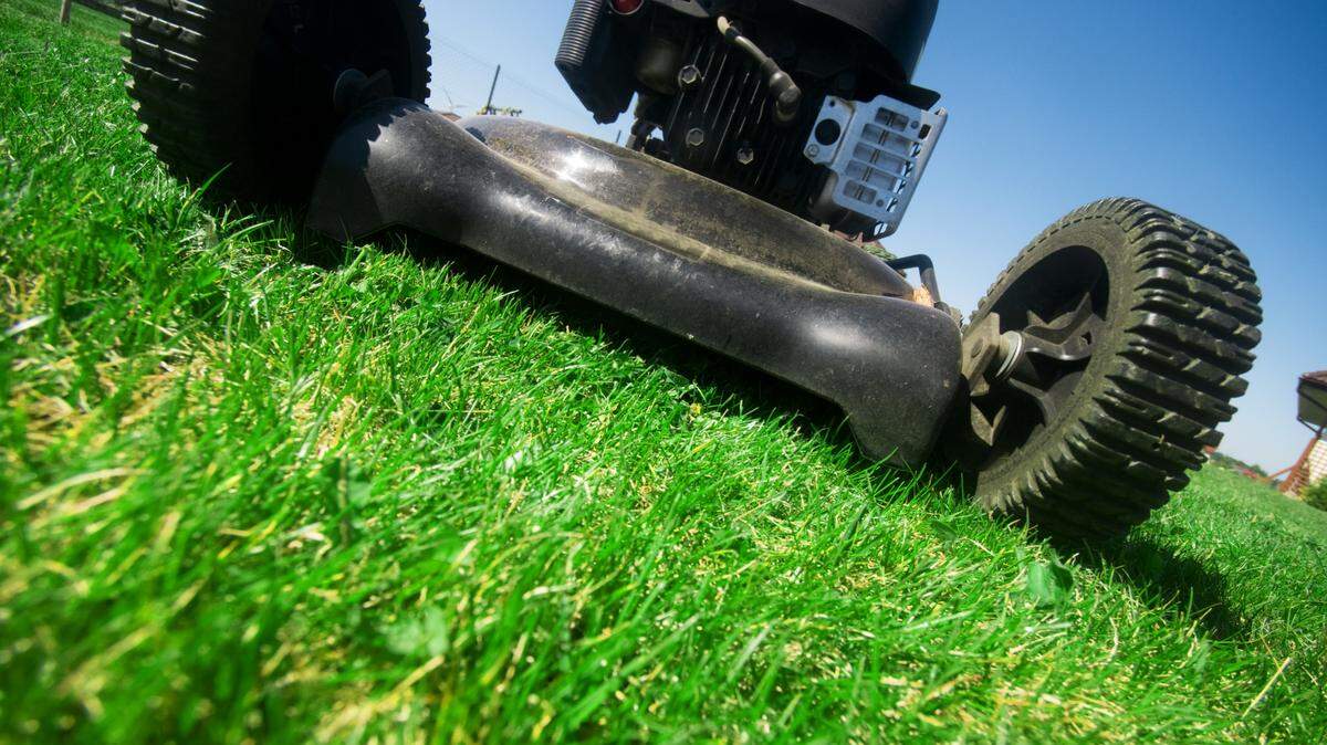 The lawn mower