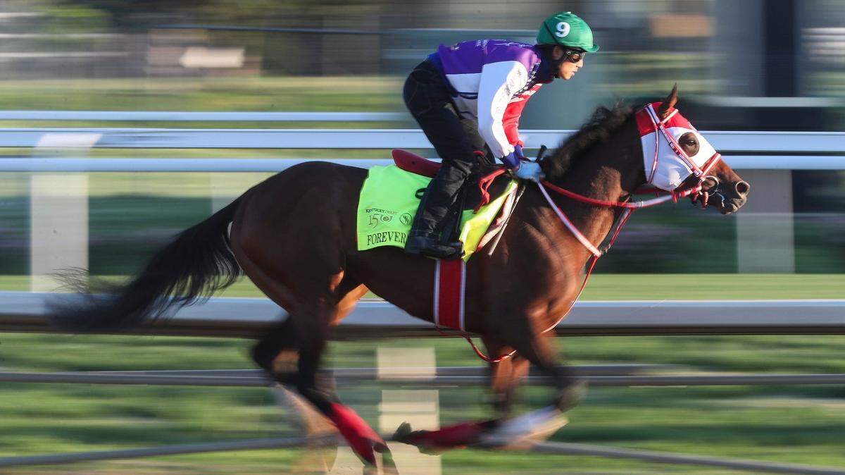 A run through the field: Odds and info on every 2024 Kentucky Derby contender