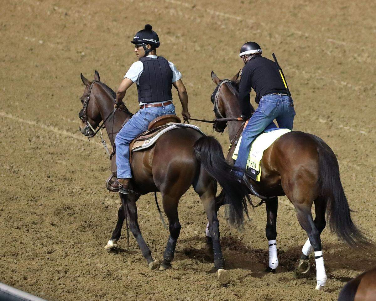 Robusta, right, jogs in preparation for the Kentucky Derby on April 25, 2026, at Churchill Downs in Louisville, Kentucky.