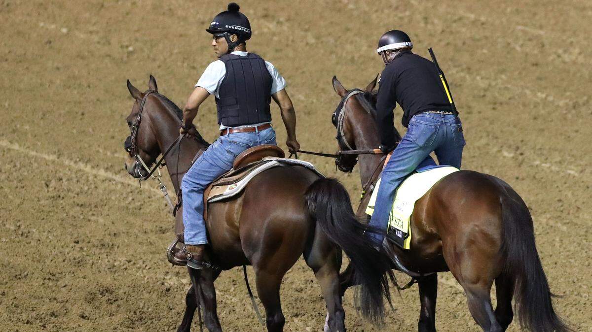 The Puma scratched from Kentucky Derby, reducing field to 19 horses — image 1