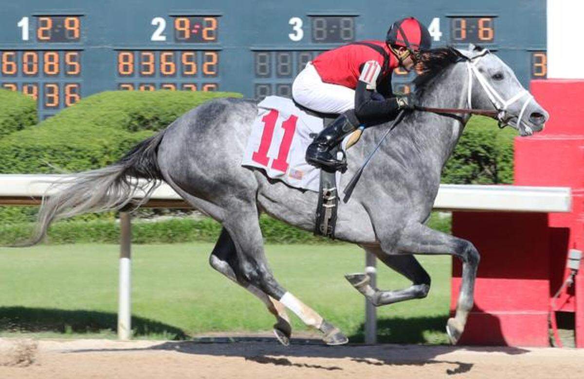 Rushie has finished in the money in four of his five career races and has two victories.