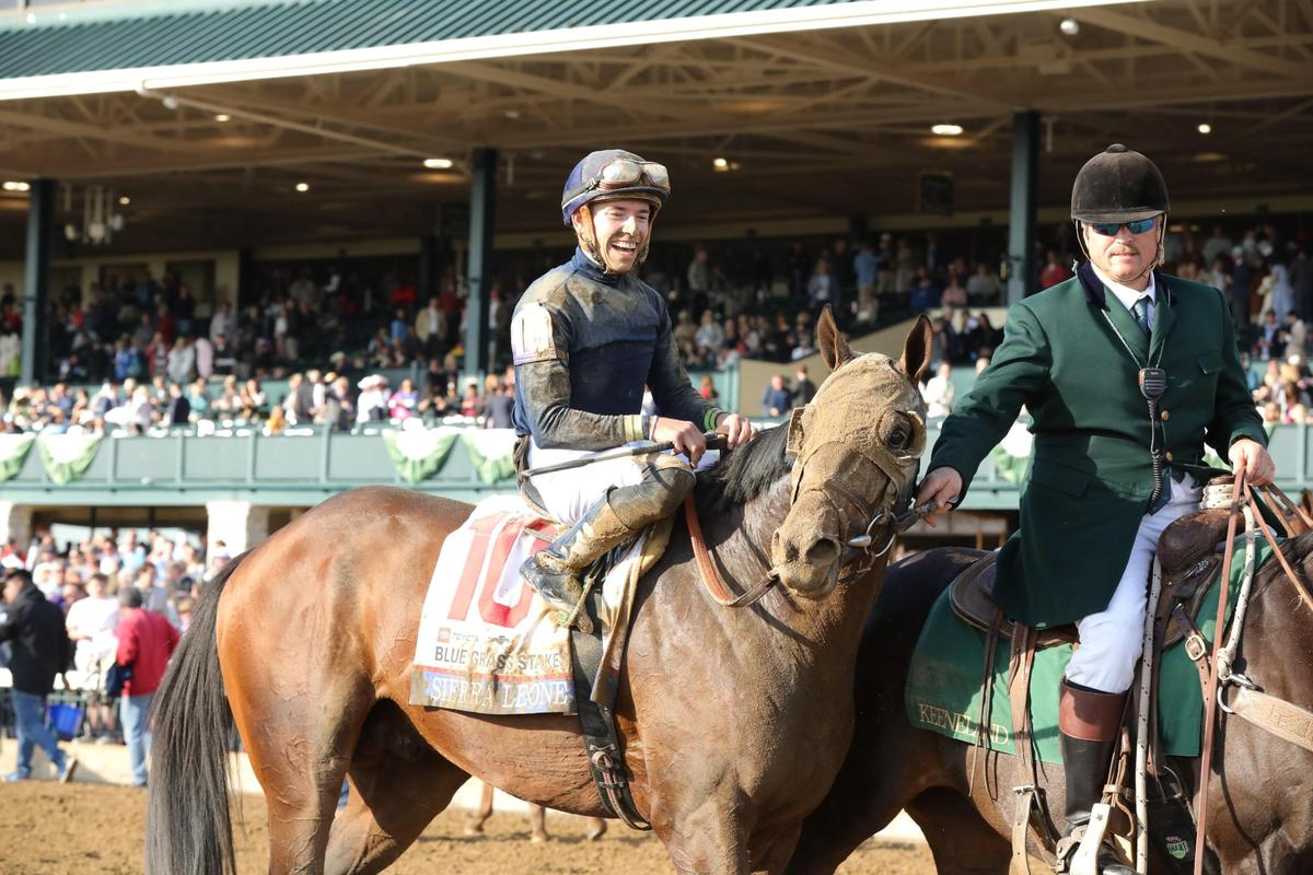 Sierra Leone, with jockey Tyler Gaffalione up, celebrates wining the Toyota Blue Grass Stakes on Saturday at Keeneland.