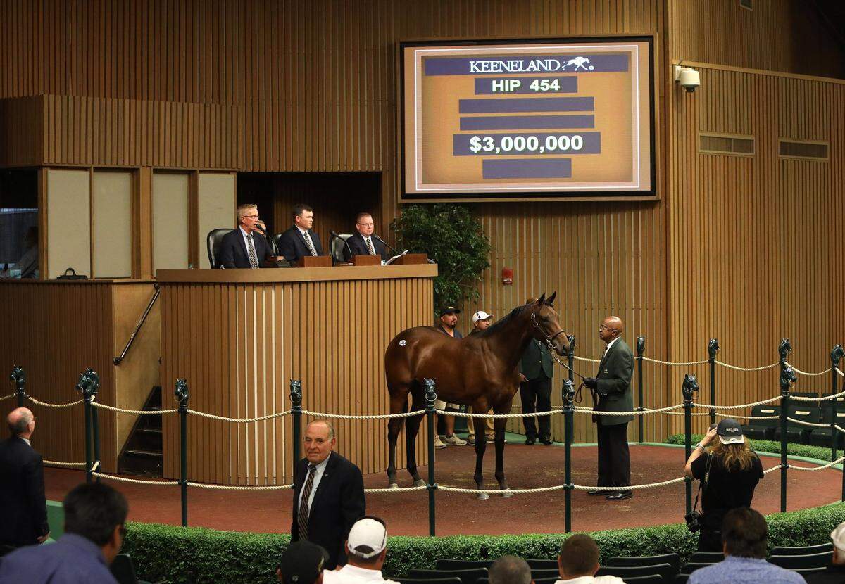 Mendelssohn was sold for $3,000,000 as the highest-priced purchase in the 2016 Keeneland September Yearling Sale. He was one of the few sales toppers in recent years to enjoy significant success on the racetrack.
