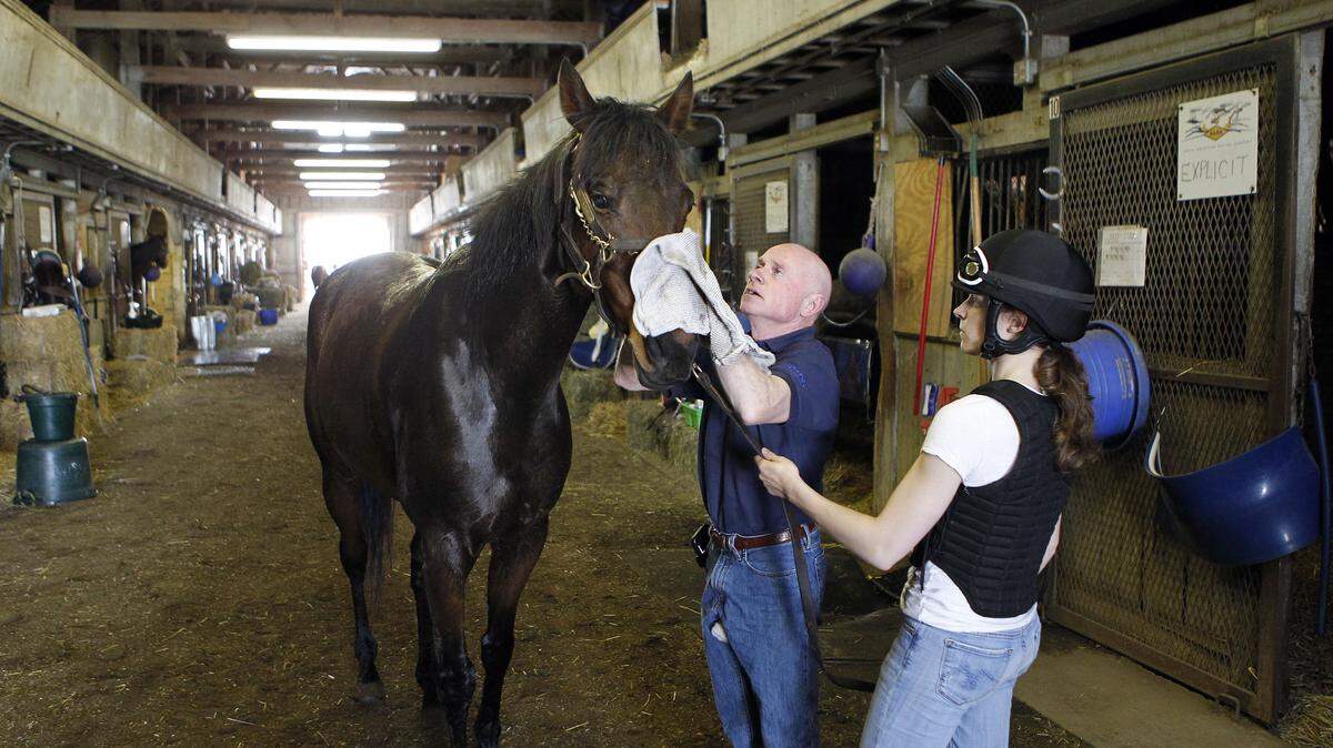 As student Jessie Dachtler held the reins, Hall of Fame jockey Chris McCarron dried a horse after a workout at the North American Racing Academy. The academy founded by McCarron is known as a "jockey school," but it is widening its focus to become a work-force development school for trainers and farms.     