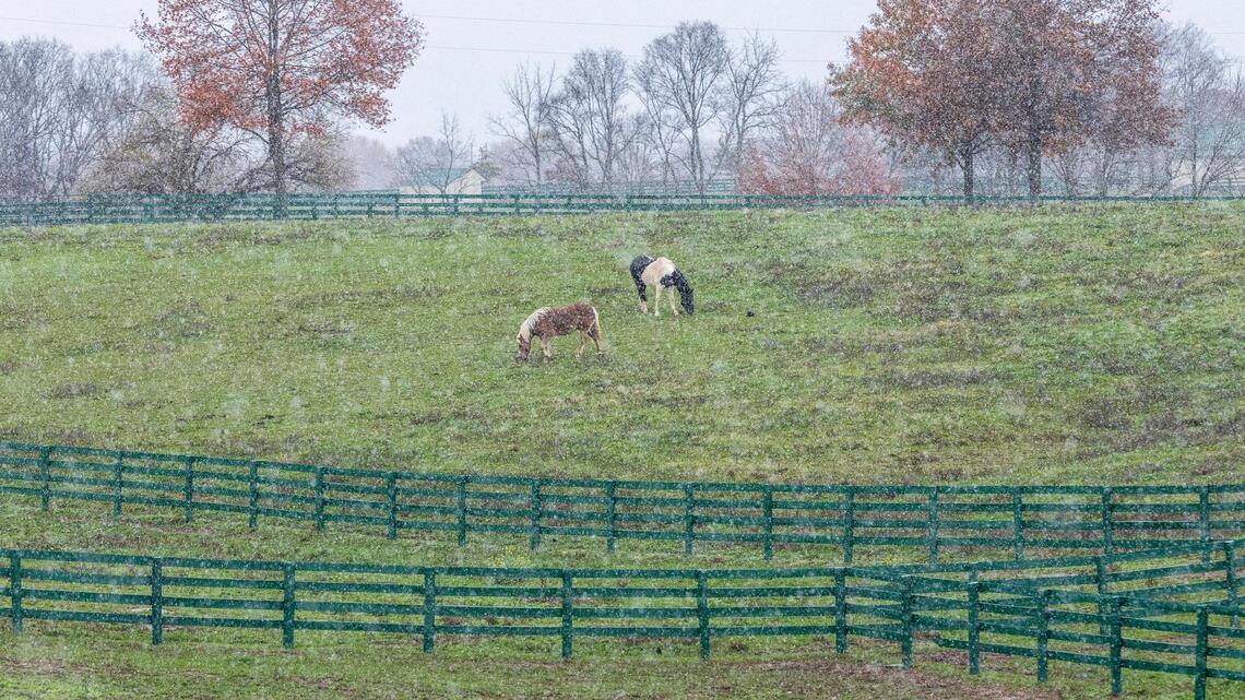 Lexington planning commission rejects solar farm permissions again