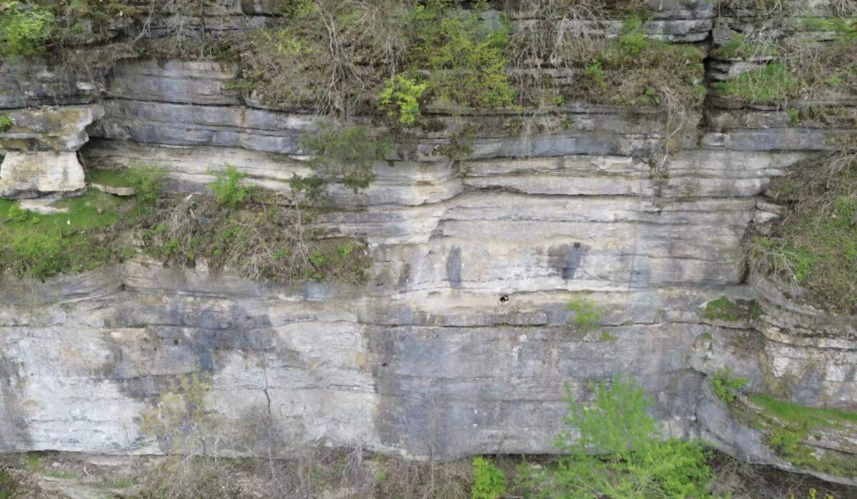 Officials from Jessamine and Mercer counties rescued a dog stranded on a 100 foot cliff overlooking the Kentucky River on April 17, 2025