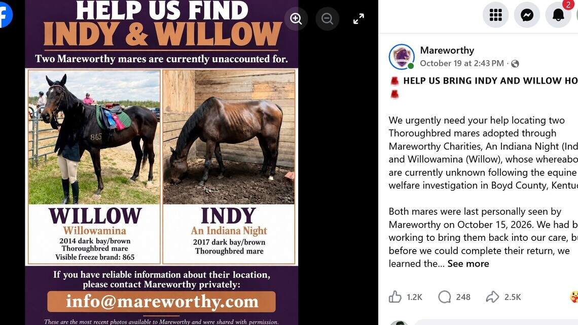 Horse farm owner charged with animal cruelty faces KY lawsuit over adopted horses