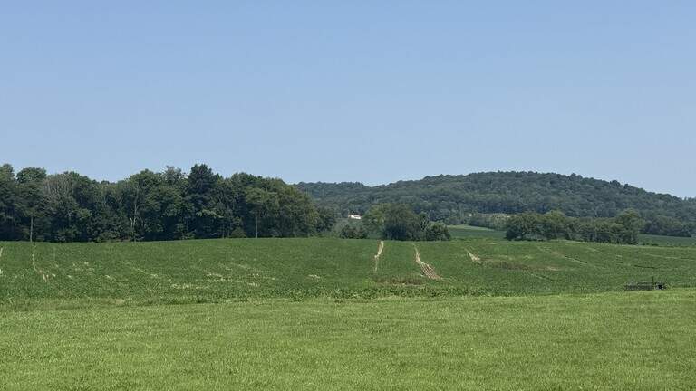Economic study finds KY data center could generate up to $435M in revenue