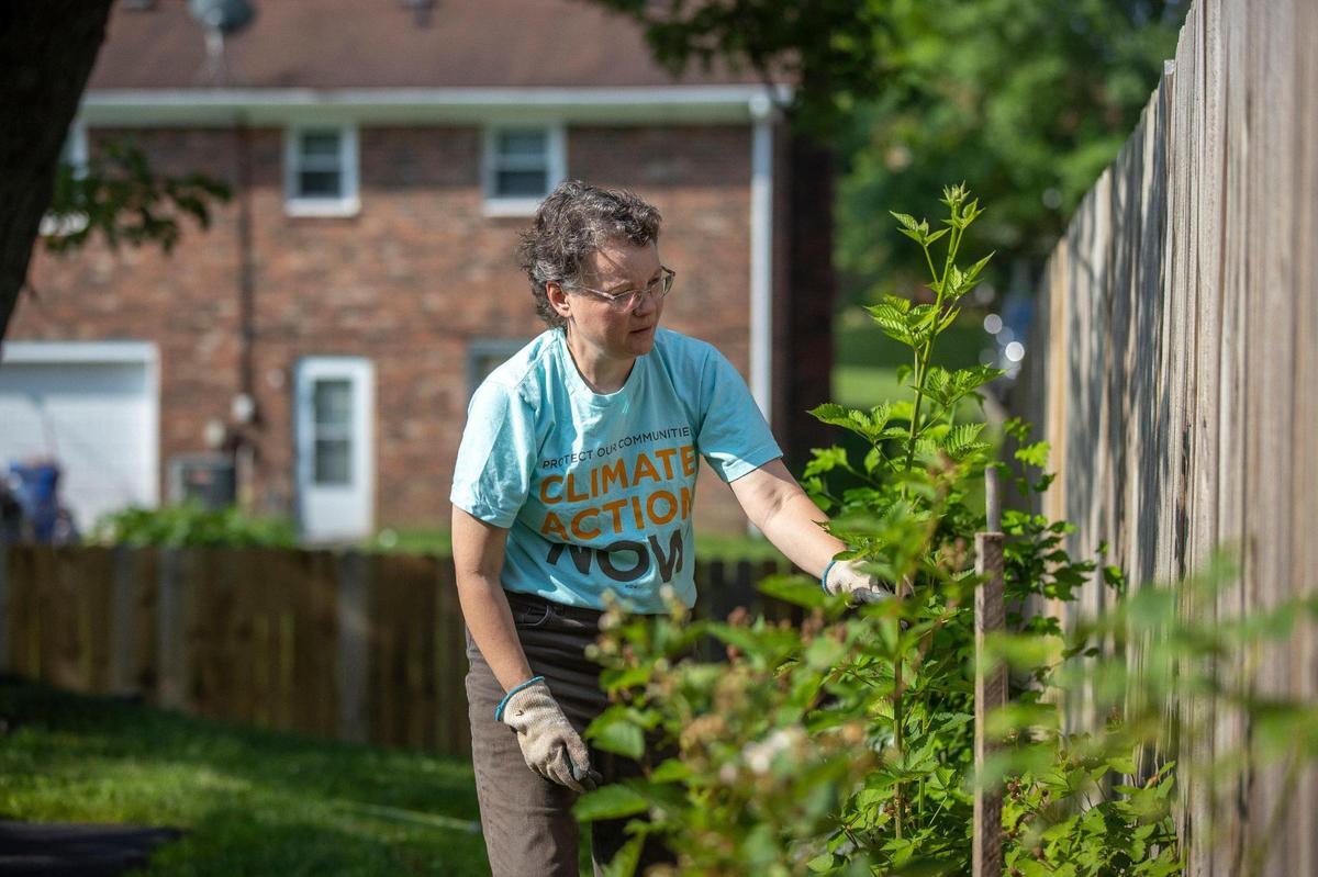 Leah Schade, a Lexington Theological Seminary professor, works in her garden at her home in Lexington, Ky., on Monday, June 13, 2022. Schade is working with Rabbi Yonatan Neril, the founder and executive director of the Jerusalem based Interfaith Center for Sustainable Development, to help ministers incorporate what is often called creation care into their congregations, including sermons and prayers.