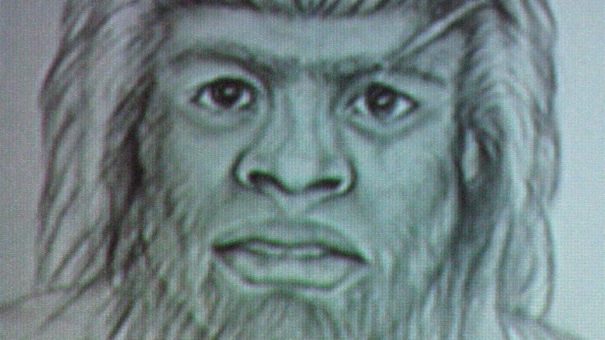 A slide shown from the Bigfoot event in Morehead Saturday featured a forensic sketch of a witness's description of a sasquatch reportedly seen on April 24 near DuBois, Pa.