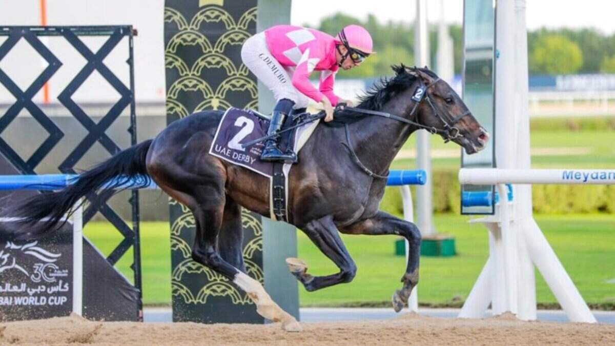Commandment, Renegade are horses in Kentucky Derby field | Lexington ...