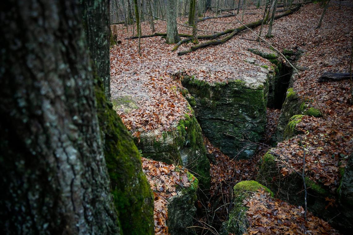 One of a number of sinkholes along the Palisades Loop trail at Tom Dorman State Nature Preserve in Garrard County, Ky., Wednesday, Dec. 16, 2020.