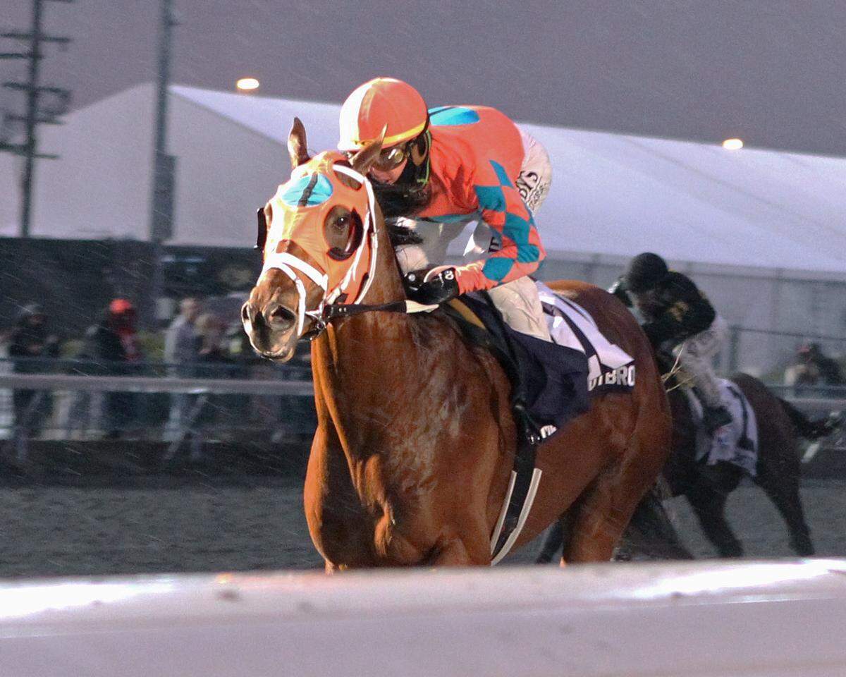 Somelikeithotbrown claimed 20 road to the Kentucky Derby points by winning the Jeff Ruby Steaks at Turfway Park on March 9.