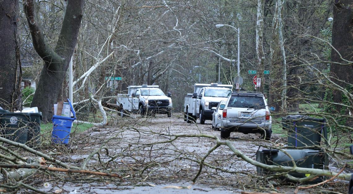 City workers arrive on the scene of Fincastle Street to survey the area after a downed tree caused damage to residential property during a severe thunderstorm in Lexington, Ky on April 2, 2024.
