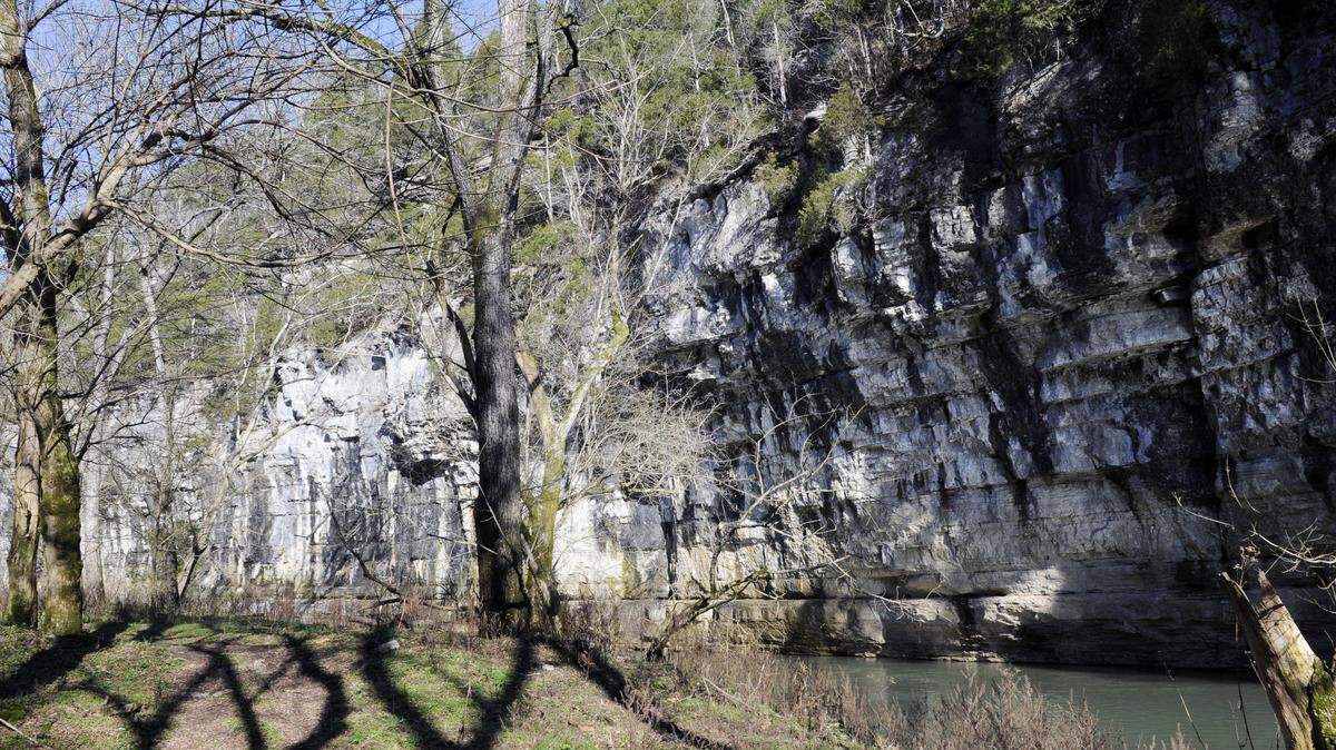 Lexington businessman Burgess Carey plans to operate tours along Boone Creek in Fayette County, where he runs a private fishing club.