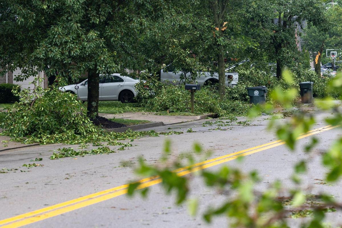 Trees and branches were knocked down along Sandersville Road in Lexington, Ky., on Thursday, June 26, 2025, following a storm with strong winds.