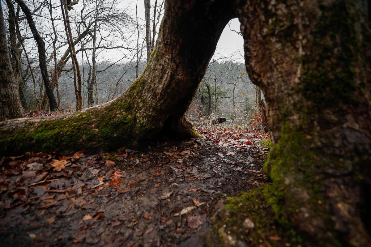 The 1.54 mile Upper Palisades Loop overlooking the Kentucky River at Tom Dorman State Nature Preserve in Garrard County, Ky., Wednesday, Dec. 16, 2020.