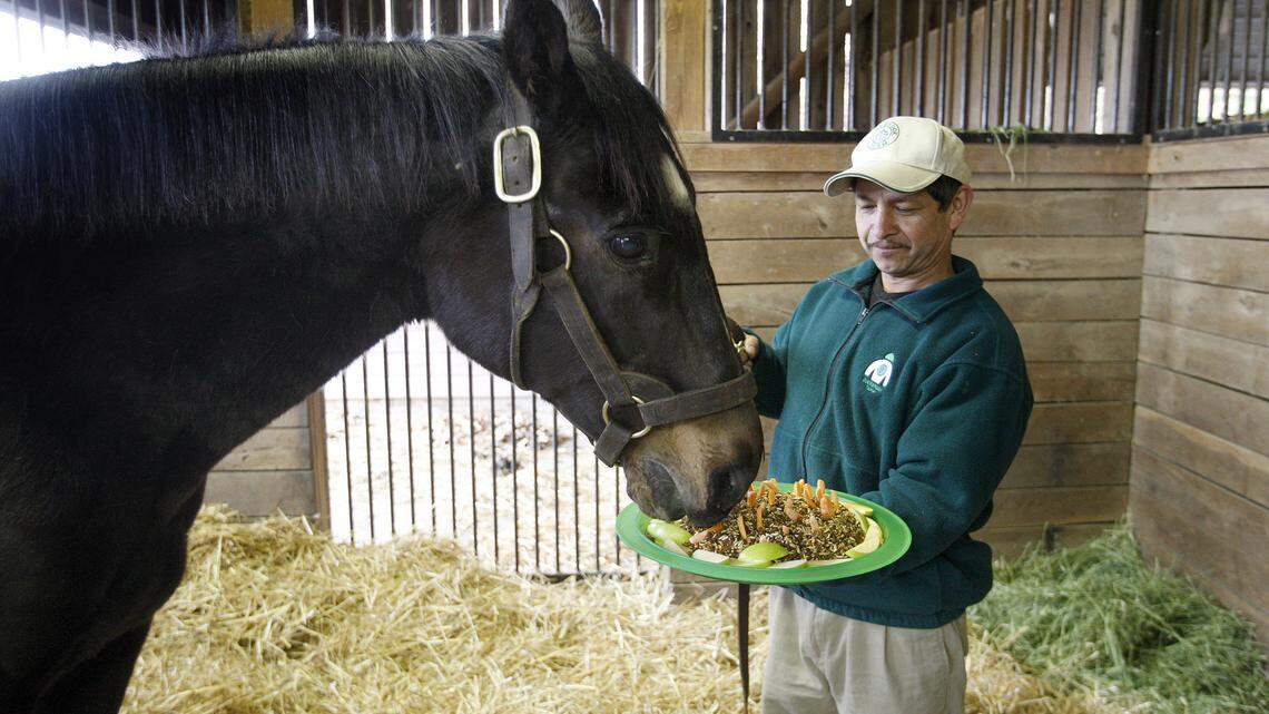 Storm Cat lived until age 30 at Overbrook Farm. He died in 2013, but now he has been cloned.