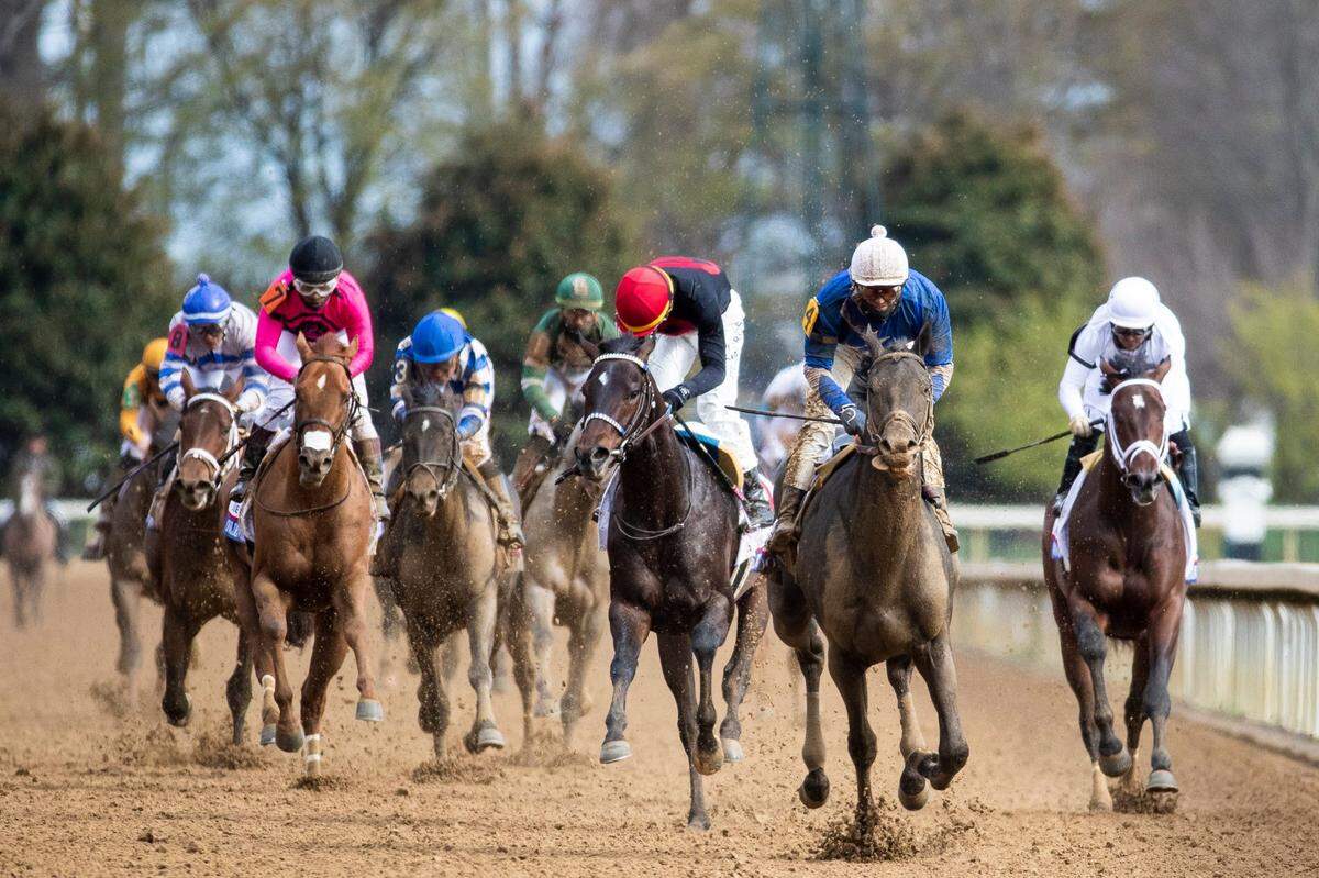 Zandon, with Flavien Prat up, second from right, crosses the finish line to win the Blue Grass Stakes on Saturday at Keeneland.