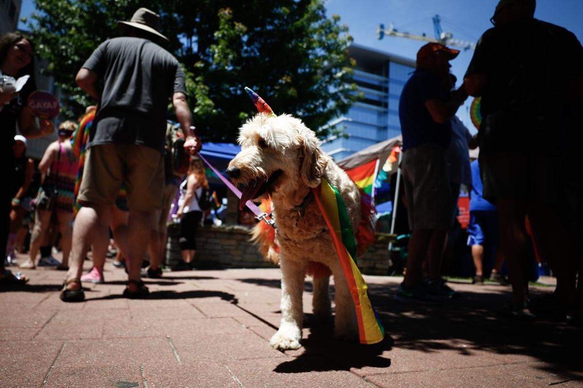 For the first time ever, the Lexington Pride Festival was held as a two-day event in downtown Lexington Friday and Saturday.